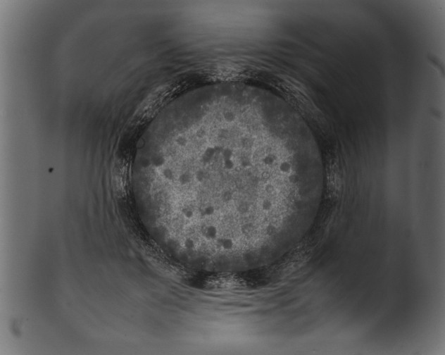 X0000101220503200807181555