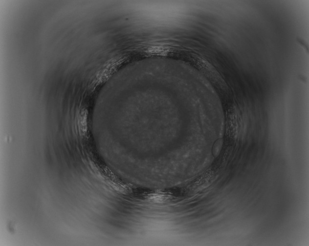 X0000101220504200807181555