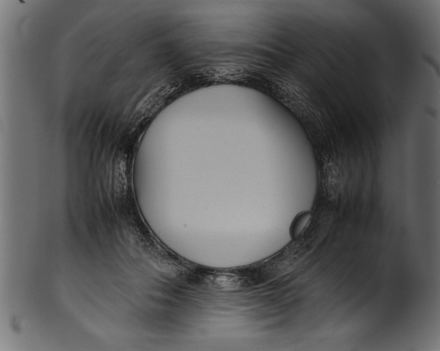 X0000101220506200807181555
