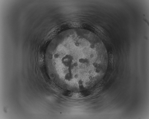 X0000101220507200807181555