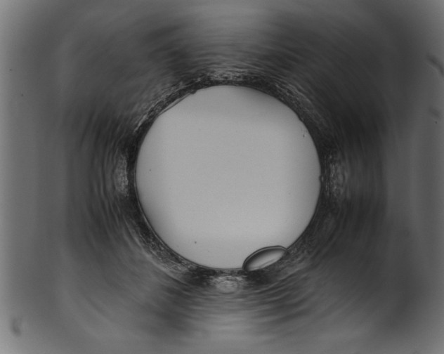 X0000101220508200807181555