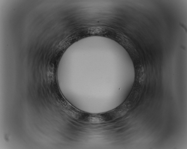 X0000101220510200807181555