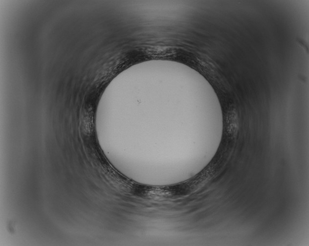 X0000101220515200807181555