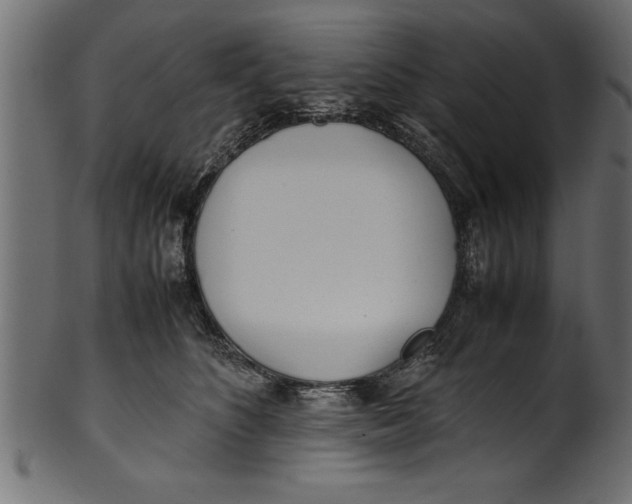 X0000101220516200807181555