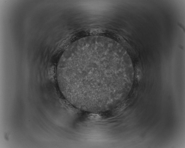 X0000101220519200807181555