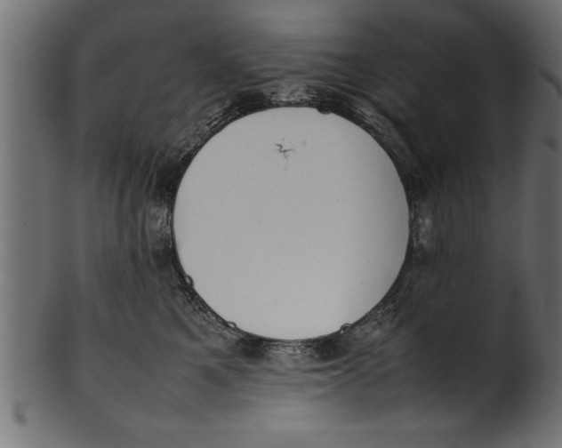 X0000101220521200807181554