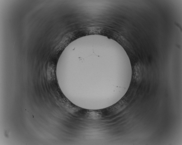 X0000101220522200807181554