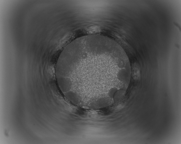 X0000101220523200807181554