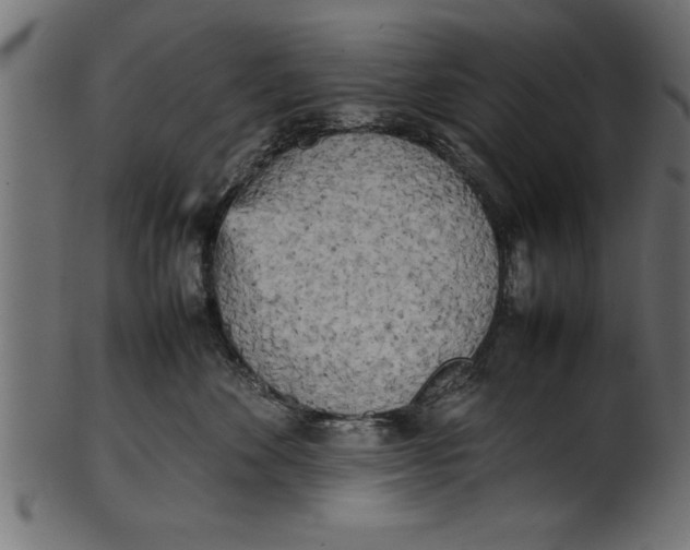 X0000101220524200807181554