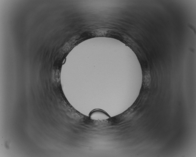 X0000101220525200807181554