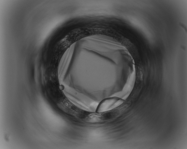 X0000101220526200807181554