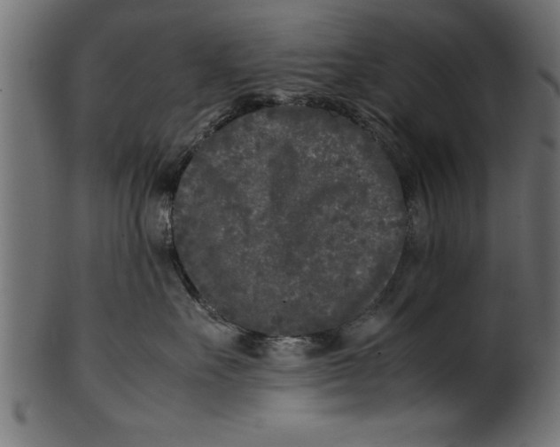 X0000101220527200807181554
