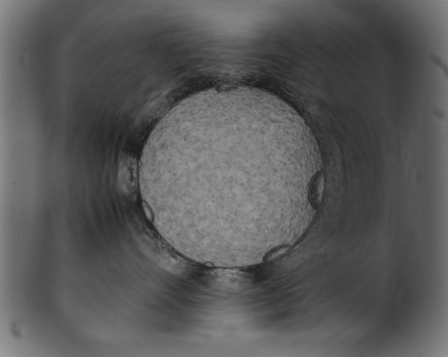 X0000101220528200807181554