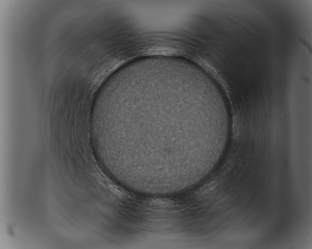 X0000101220529200807181554