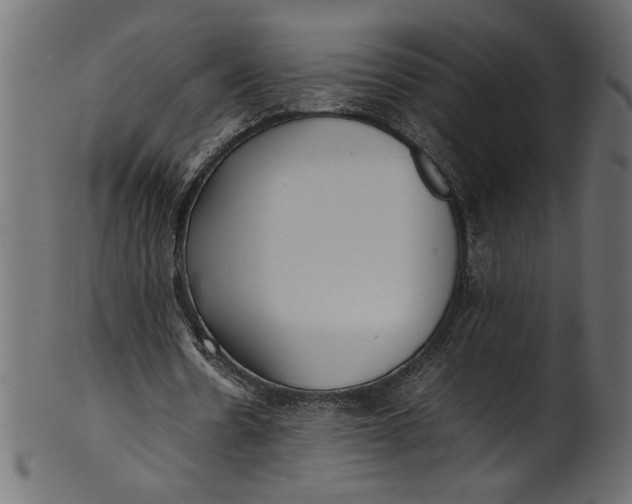 X0000101220530200807181554