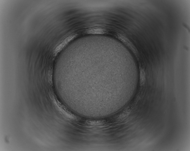 X0000101220533200807181554
