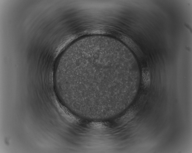 X0000101220534200807181554