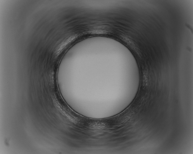 X0000101220535200807181554