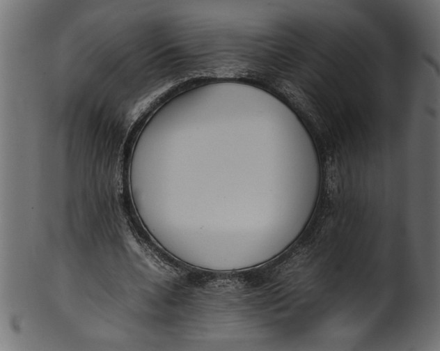 X0000101220536200807181554