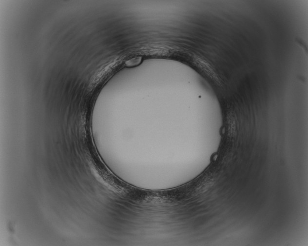 X0000101220538200807181554