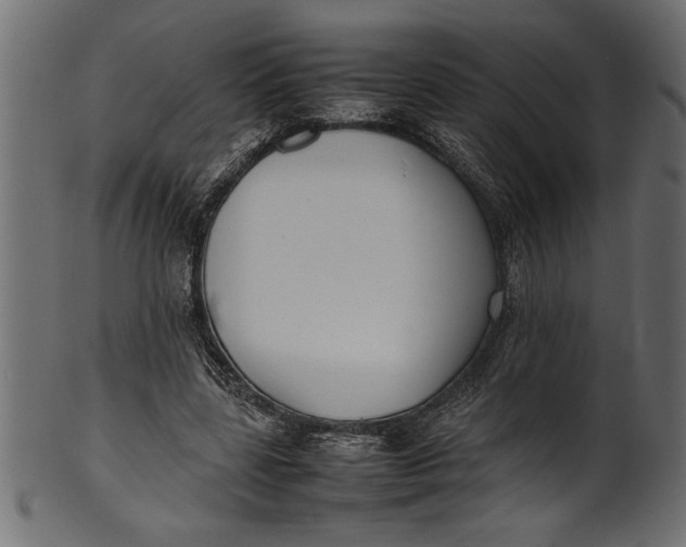 X0000101220539200807181554