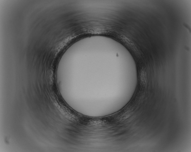 X0000101220540200807181554