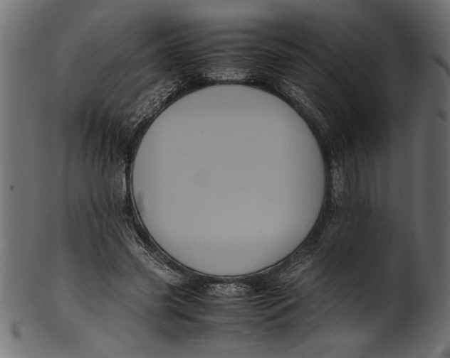 X0000101220541200807181554