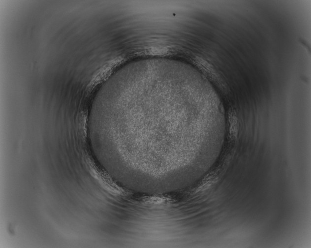 X0000101220542200807181554