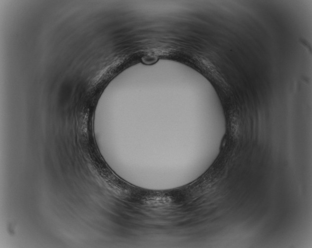 X0000101220543200807181554