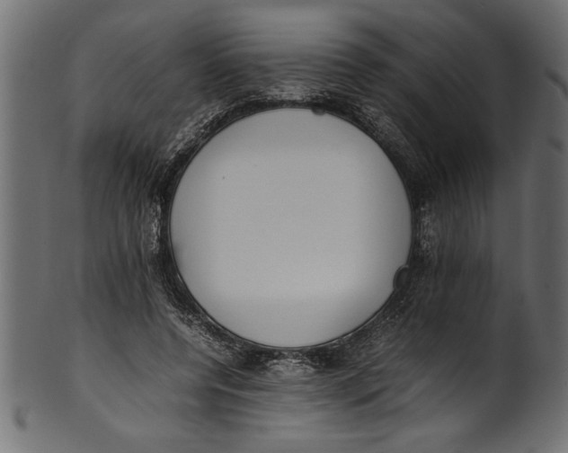 X0000101220544200807181554