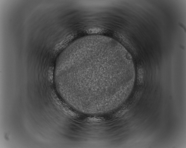 X0000101220545200807181554