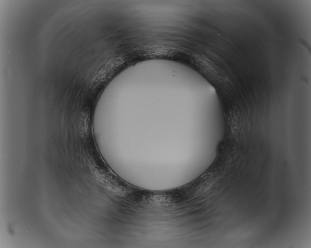 X0000101220546200807181554