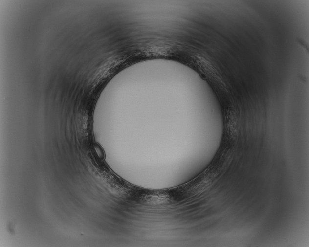 X0000101220548200807181554