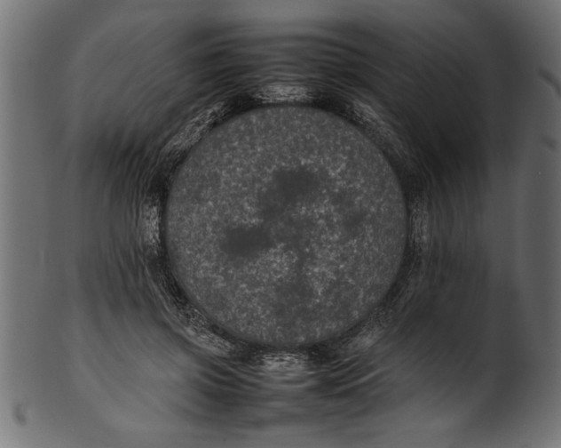 X0000101220549200807181554