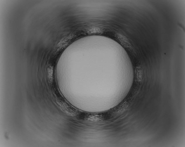 X0000101220550200807181554