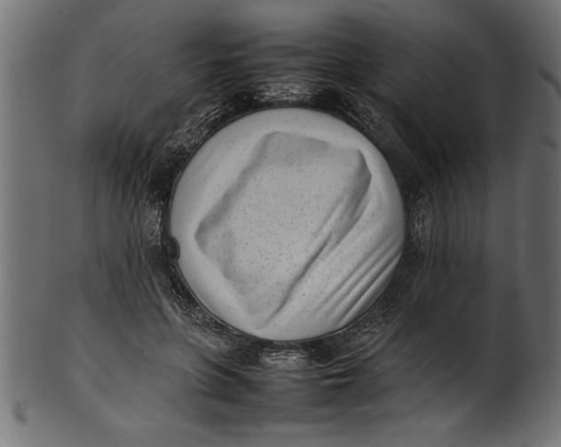 X0000101220551200807181554