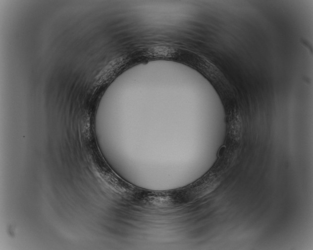 X0000101220552200807181554