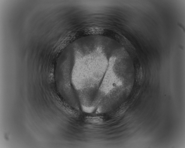 X0000101220553200807181554