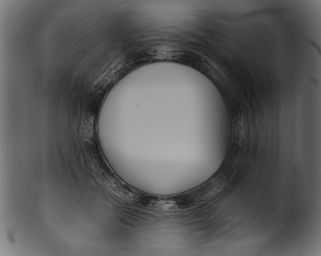 X0000101220554200807181554