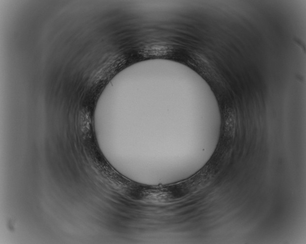 X0000101220555200807181554