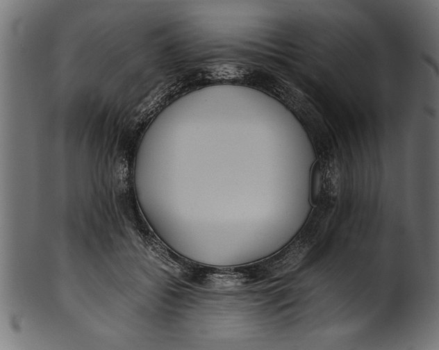 X0000101220556200807181554