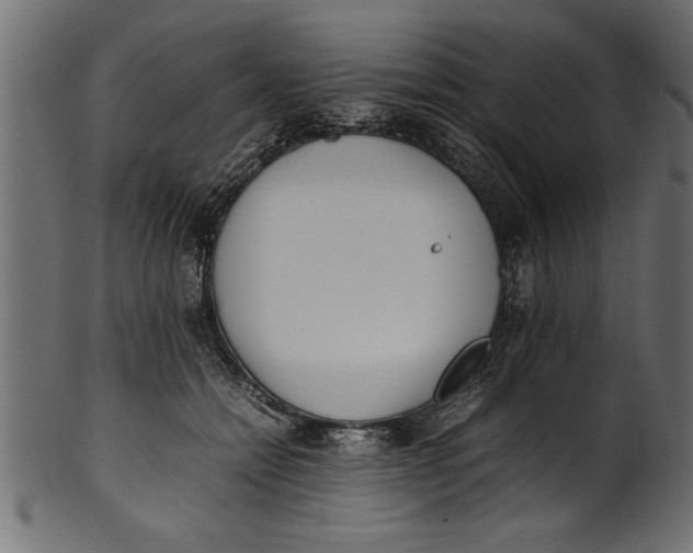 X0000101220558200807181554
