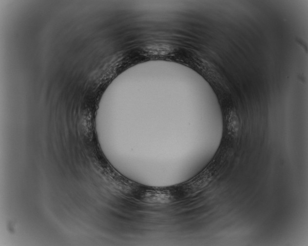 X0000101220559200807181554