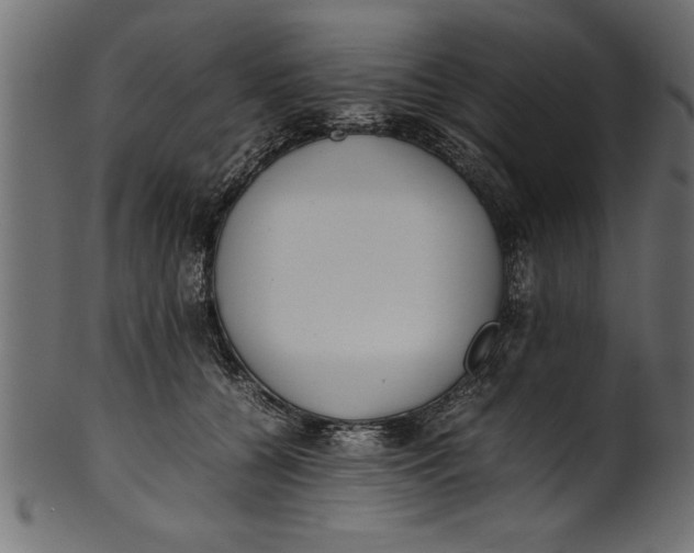 X0000101220560200807181554