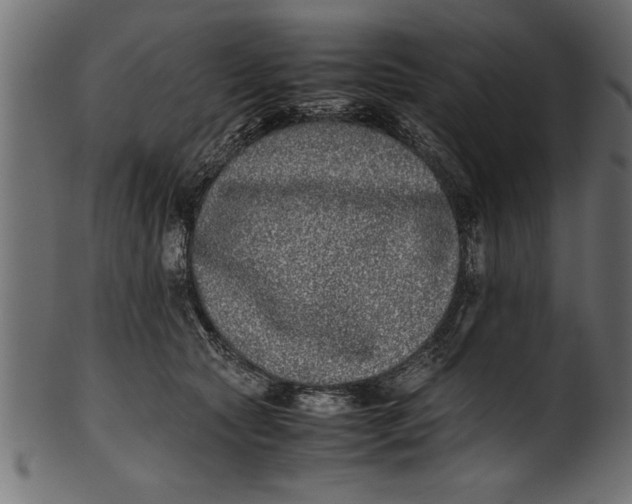 X0000101220561200807181554