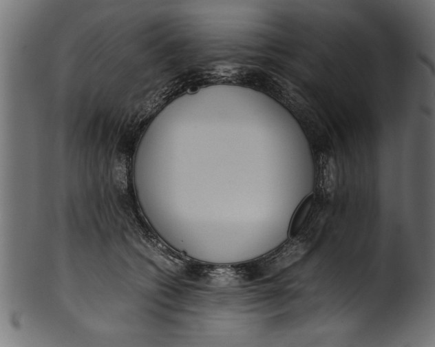 X0000101220562200807181554