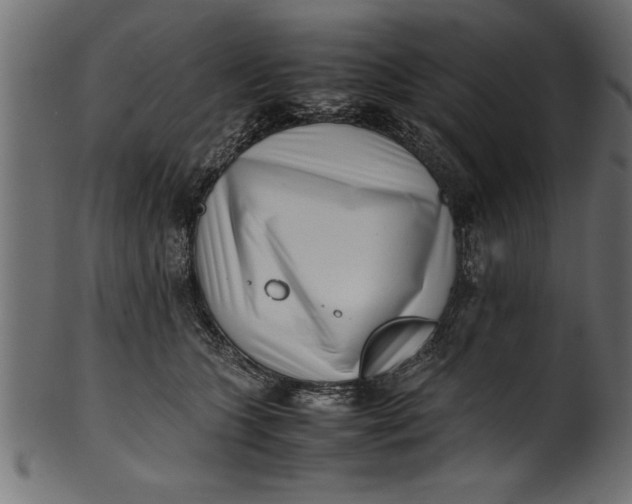 X0000101220563200807181554
