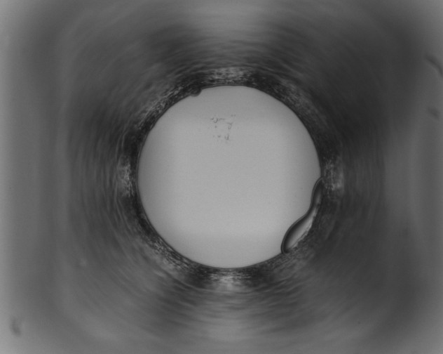 X0000101220564200807181554
