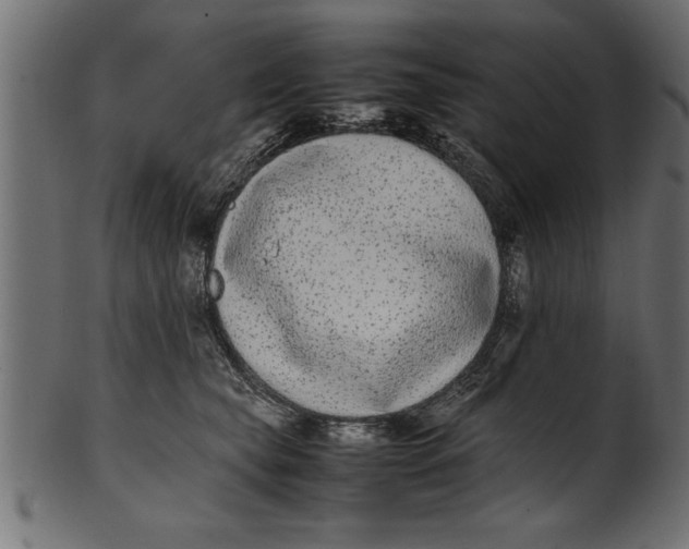 X0000101220565200807181554