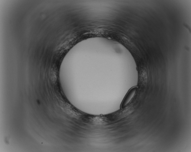 X0000101220566200807181554
